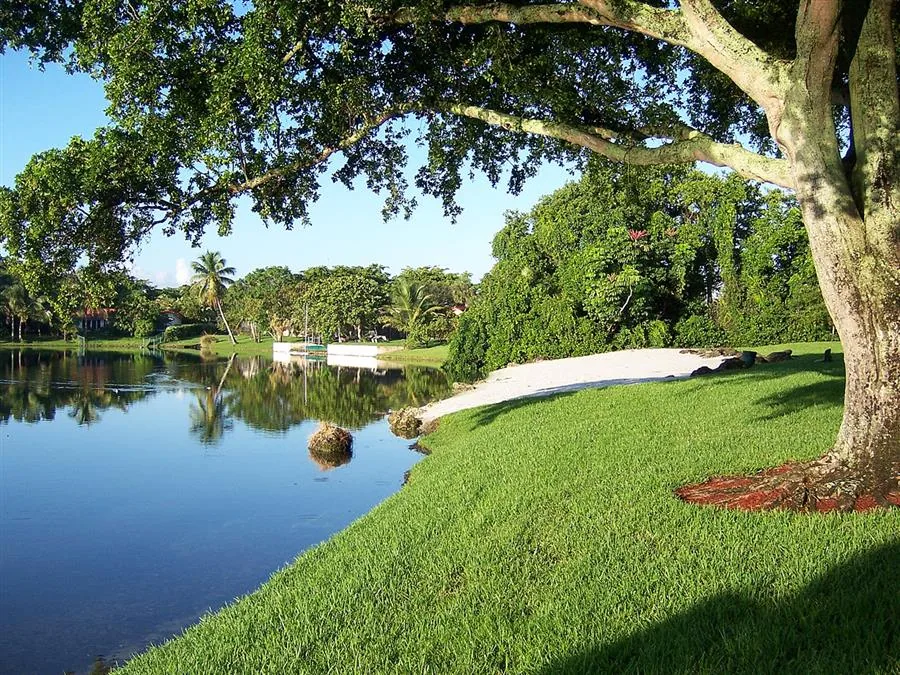 Commercial Roofing in Miami Lakes, FL