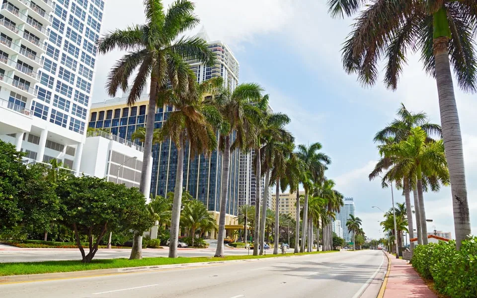 Commercial Roofing in Palm Avenue City Center Redevelopment Area, Pembroke Pines, FL